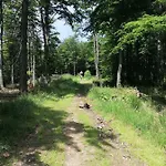 Skalite W Szczyrku