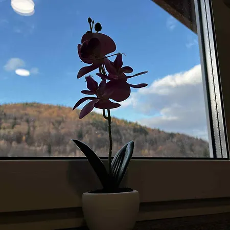 Apartment Skalite W Szczyrku *