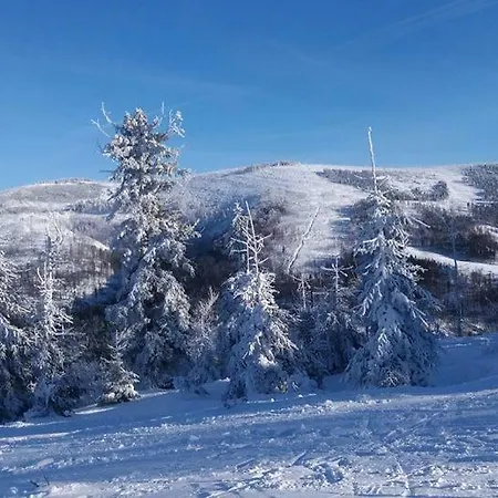 Lejlighed Skalite W Szczyrku