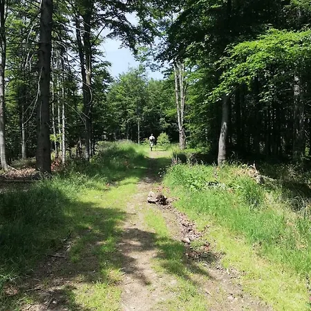 Skalite W Szczyrku