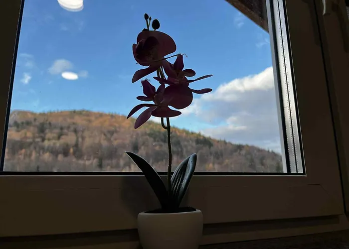 Apartment Skalite W Szczyrku *